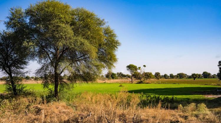 Ananya Farms Paradise Jodhpur  Exterior foto